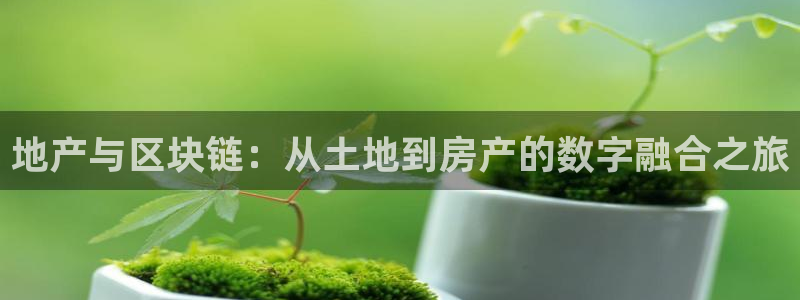 天狮娱乐注册登陆：地产与区块链：从土地到房产的数字融合之旅