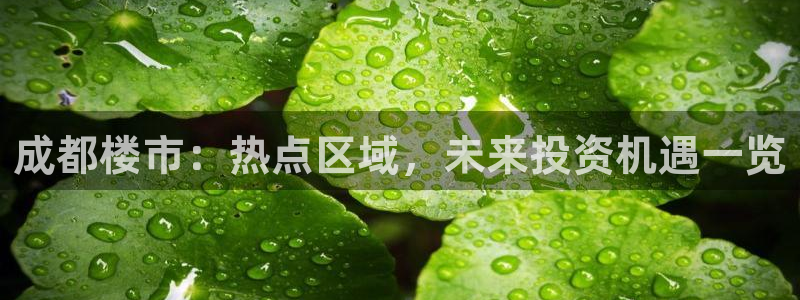天狮娱乐招商：成都楼市：热点区域，未来投资机遇一览