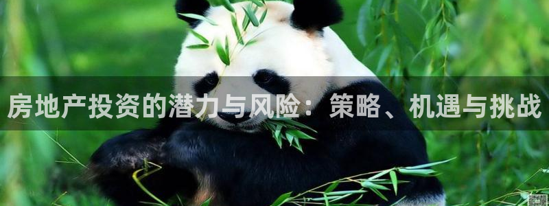 天狮娱乐如何注册代理：房地产投资的潜力与风险：策略、机遇与挑