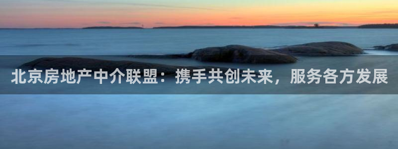 蓝狮娱乐招商天原判官333OO：北京房地产中介联盟：携手共创