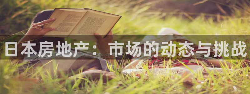 南京天狮娱乐会所：日本房地产：市场的动态与挑战