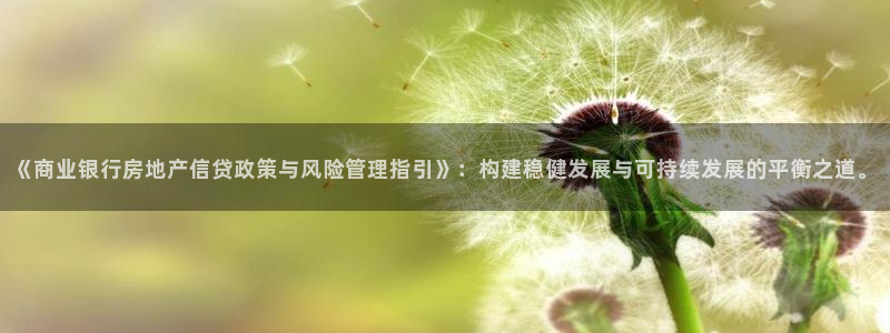 天狮娱乐腾讯分分彩：《商业银行房地产信贷政策与风险管理指引》