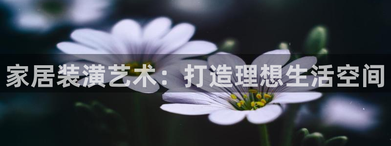 天狮娱乐网站：家居装潢艺术：打造理想生活空间