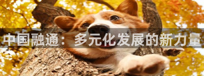 天狮娱乐 148-27