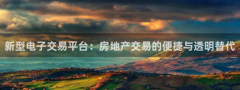 天狮娱乐登入：新型电子交易平台：房地产交易的便捷与透明替代