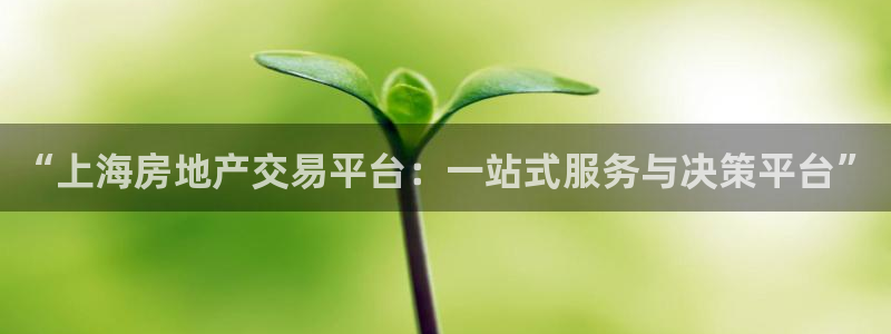天狮娱乐138：“上海房地产交易平台：一站式服务与决策平台”