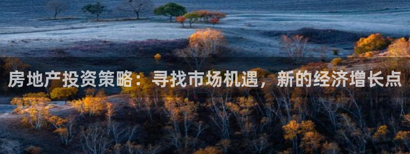 天狮娱乐招j商443593：房地产投资策略：寻找市场机遇，新