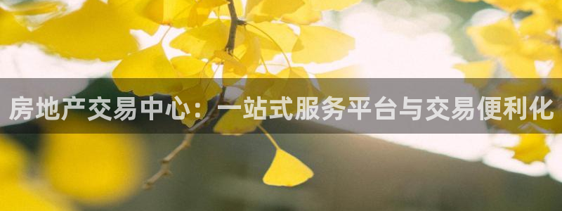 天狮平台娱乐：房地产交易中心：一站式服务平台与交易便利化