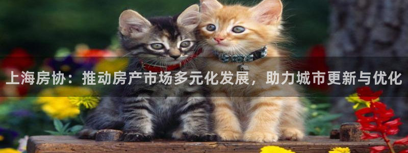 天狮娱乐v1.0.3app下载：上海房协：推动房产市场多元化