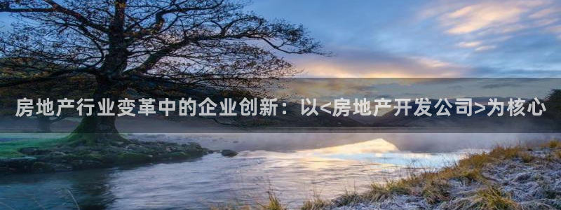 天狮娱乐扣扣29229：房地产行业变革中的企业创新：以<房地