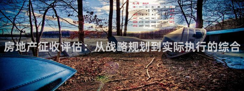 天狮娱乐d 判官：房地产征收评估：从战略规划到实际执行的综合