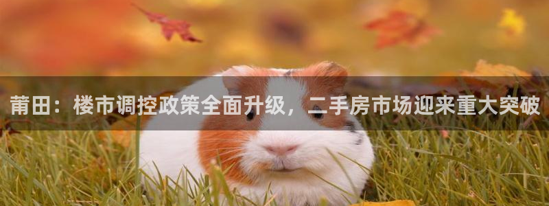 天狮娱乐 彩票
