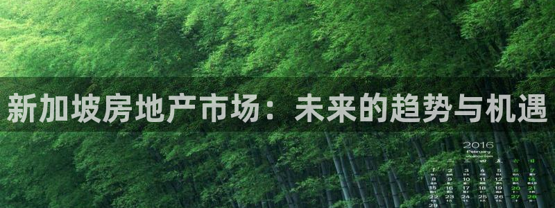 天狮娱乐 a主管98663：新加坡房地产市场：未来的趋势与机