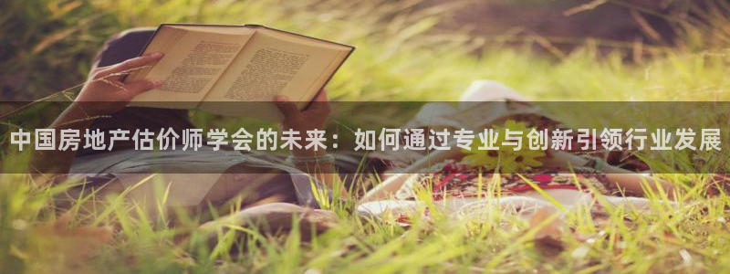 蓝狮娱乐招商天原判官333OO：中国房地产估价师学会的未来：