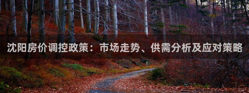 天狮娱乐是什么：沈阳房价调控政策：市场走势、供需分析及应对策