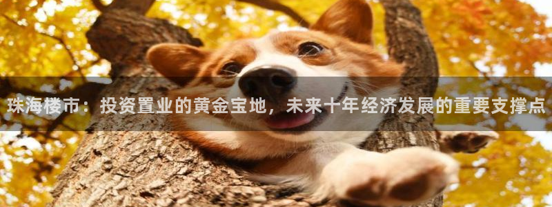 天狮娱乐33673 q实力：珠海楼市：投资置业的黄金宝地，未