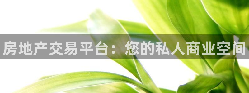 天狮娱乐登录官网平台：房地产交易平台：您的私人商业空间