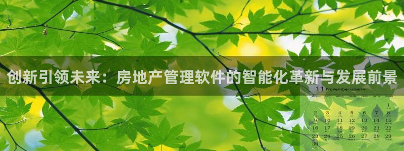 天狮娱乐b OO判官：创新引领未来：房地产管理软件的智能化革