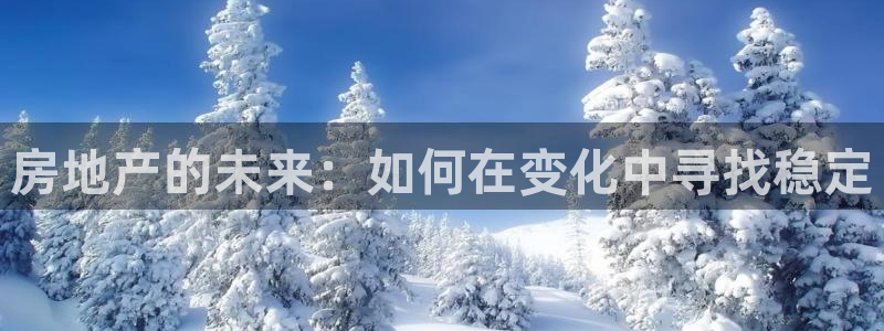 天狮娱乐平台注册官网：房地产的未来：如何在变化中寻找稳定