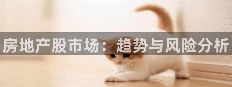 天狮娱乐方：房地产股市场：趋势与风险分析