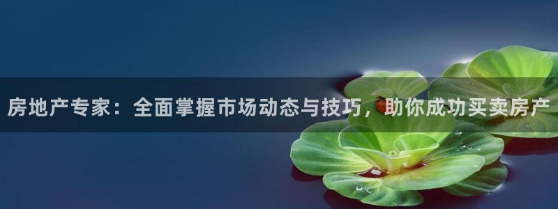 天狮娱乐 b内部61166：房地产专家：全面掌握市场动态与技