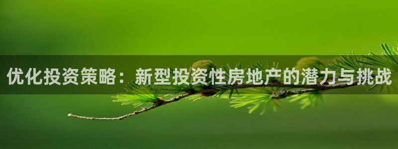 天狮会娱乐会所：优化投资策略：新型投资性房地产的潜力与挑战