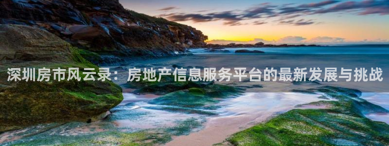 天狮娱乐57661 老x板：深圳房市风云录：房地产信息服务平