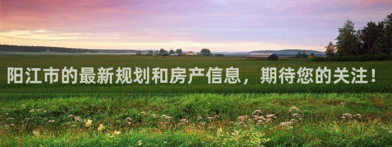 天狮娱乐购彩：阳江市的最新规划和房产信息，期待您的关注！