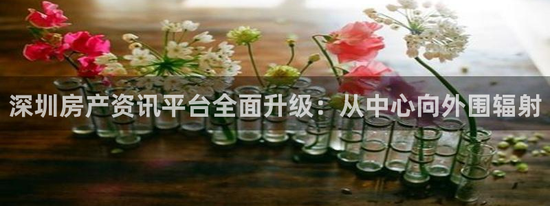 天狮娱乐彩票靠谱吗：深圳房产资讯平台全面升级：从中心向外围辐