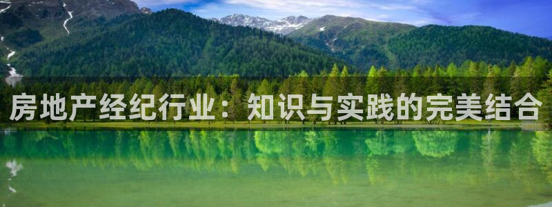 天狮娱乐电脑版：房地产经纪行业：知识与实践的完美结合