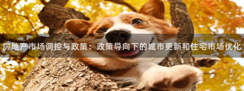 天狮娱乐挂机风险：房地产市场调控与政策：政策导向下的城市更新