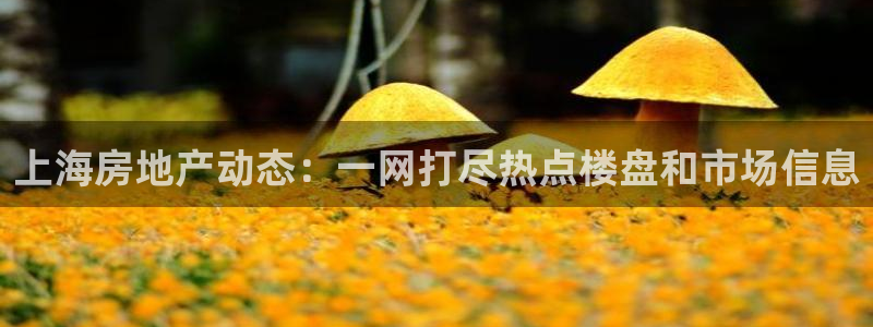 天狮娱乐平台注册官网：上海房地产动态：一网打尽热点楼盘和市场