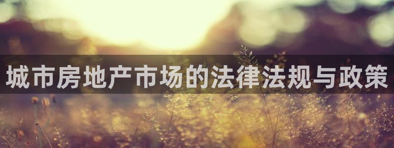 天狮娱乐指尖可：城市房地产市场的法律法规与政策