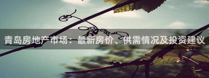 天狮娱乐丨天狮注册平台：青岛房地产市场：最新房价、供需情况及