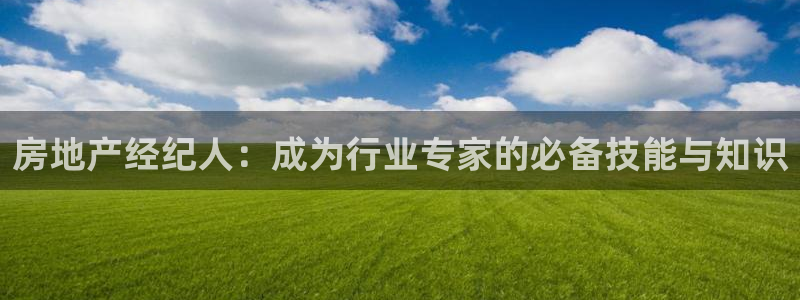 天狮娱乐分分彩下载：房地产经纪人：成为行业专家的必备技能与知