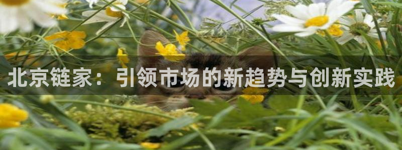 龙湖苏州狮山天街娱乐：北京链家：引领市场的新趋势与创新实践