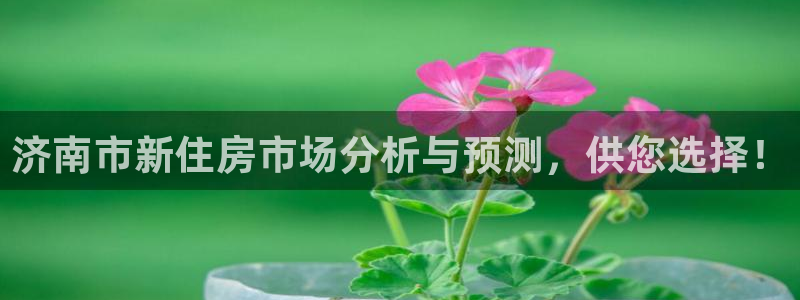 天狮国际娱乐：济南市新住房市场分析与预测，供您选择！