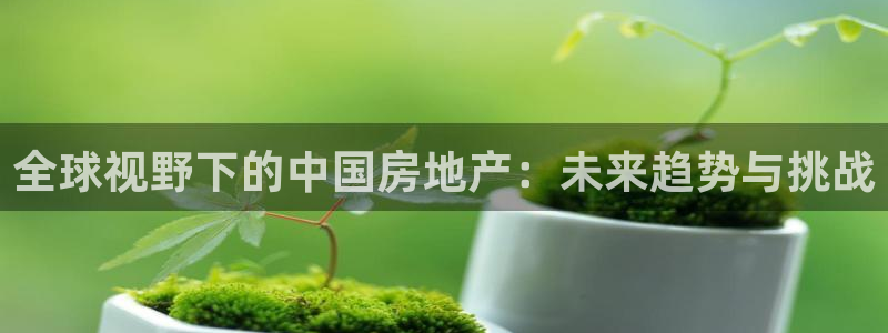 天狮学院娱乐：全球视野下的中国房地产：未来趋势与挑战