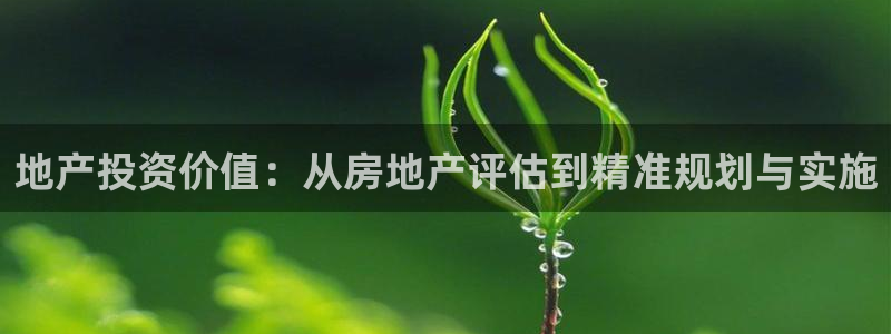 天狮娱乐返点多少：地产投资价值：从房地产评估到精准规划与实施