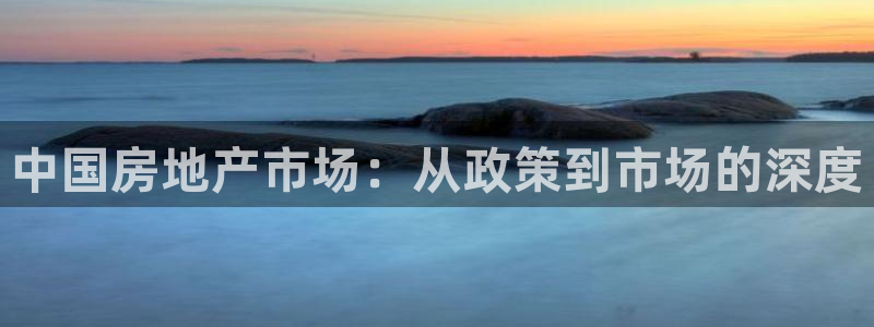 天狮娱乐怎么玩法：中国房地产市场：从政策到市场的深度