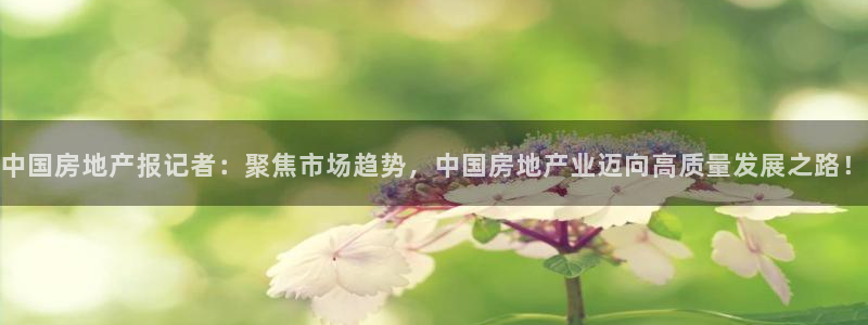 天狮娱乐购彩：中国房地产报记者：聚焦市场趋势，中国房地产业迈