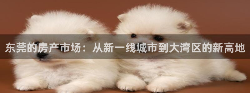 如何成为天狮娱乐的会员：东莞的房产市场：从新一线城市到大湾区