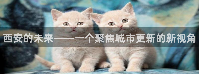 天狮娱乐股东：西安的未来——一个聚焦城市更新的新视角