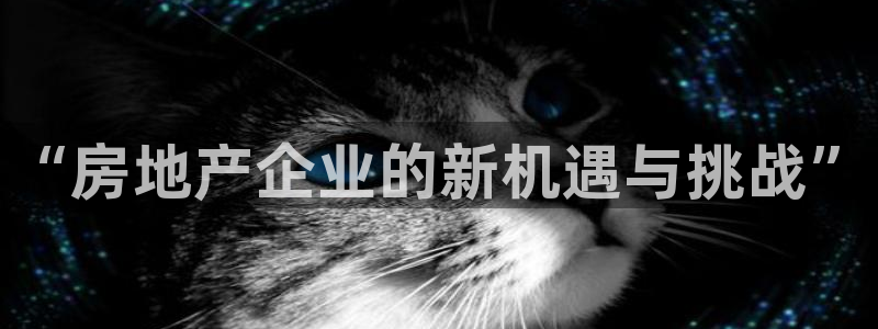 天狮娱乐挂机软件：“房地产企业的新机遇与挑战”