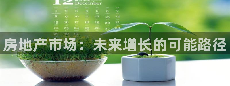 娱乐狮天：房地产市场：未来增长的可能路径