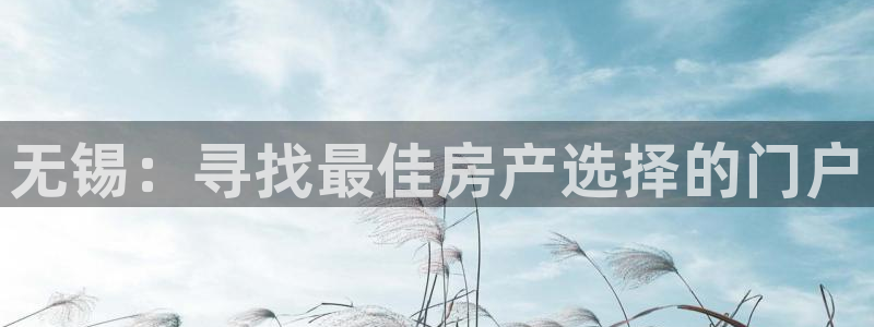 天狮娱乐是什么意思：无锡：寻找最佳房产选择的门户