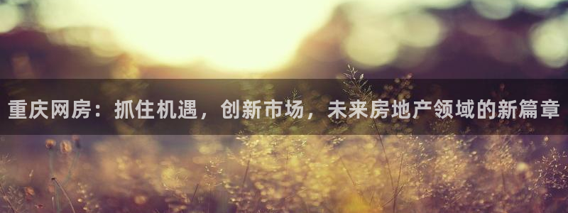 天狮娱乐 138：重庆网房：抓住机遇，创新市场，未来房地产领