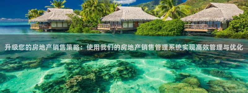 天狮娱乐强哥：升级您的房地产销售策略：使用我们的房地产销售管