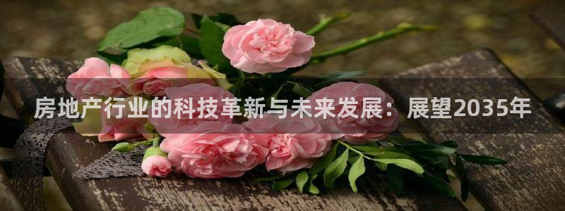 天狮娱乐无法登录怎么办：房地产行业的科技革新与未来发展：展望