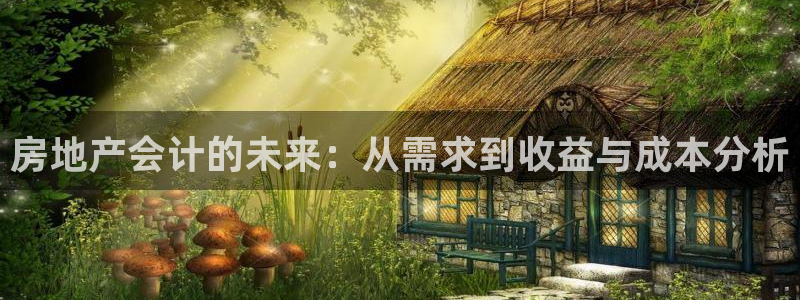 天狮娱乐hefame：房地产会计的未来：从需求到收益与成本分